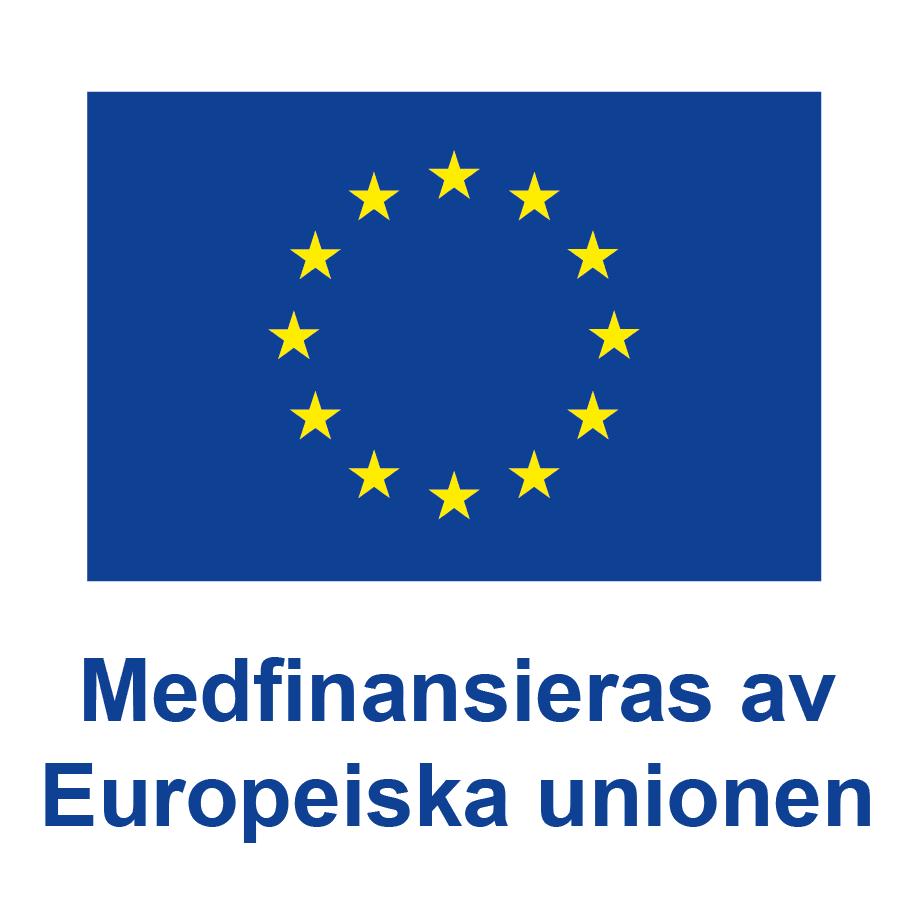 Medfinansieras av Europeiska unionen